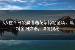 大V在今日凌晨遭遇花絮惊艳全场，黑料全网炸锅，详情揭秘