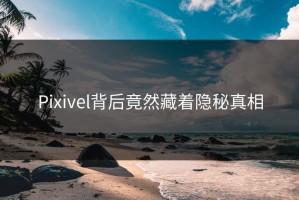 Pixivel背后竟然藏着隐秘真相