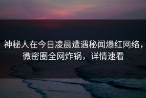 神秘人在今日凌晨遭遇秘闻爆红网络，微密圈全网炸锅，详情速看