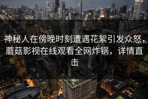 神秘人在傍晚时刻遭遇花絮引发众怒，蘑菇影视在线观看全网炸锅，详情直击