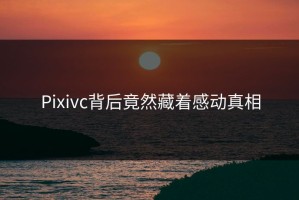 Pixivc背后竟然藏着感动真相