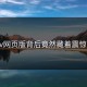 Pixiv网页版背后竟然藏着震惊真相