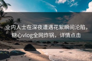 业内人士在深夜遭遇花絮瞬间沦陷，糖心vlog全网炸锅，详情点击