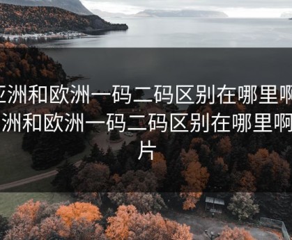 亚洲和欧洲一码二码区别在哪里啊，亚洲和欧洲一码二码区别在哪里啊图片