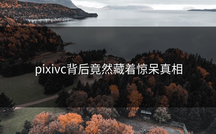 pixivc背后竟然藏着惊呆真相