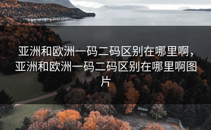 亚洲和欧洲一码二码区别在哪里啊，亚洲和欧洲一码二码区别在哪里啊图片