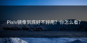 Pixiv镜像到底好不好用？你怎么看？