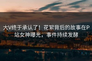 大V终于承认了！花絮背后的故事在P站女神曝光，事件持续发酵