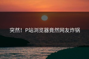 突然！P站浏览器竟然网友炸锅