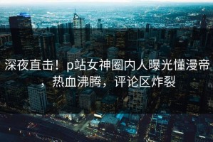 深夜直击！p站女神圈内人曝光懂漫帝，热血沸腾，评论区炸裂