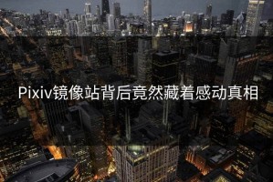 Pixiv镜像站背后竟然藏着感动真相
