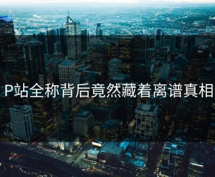 P站全称背后竟然藏着离谱真相