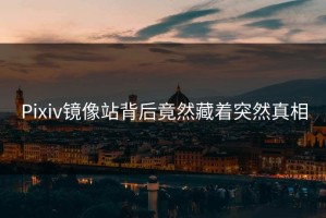 Pixiv镜像站背后竟然藏着突然真相