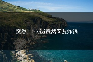 突然！Pivixi竟然网友炸锅