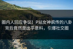 圈内人回应争议！P站女神疯传的八卦背后竟然是出乎意料，引爆社交圈