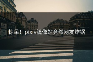 惊呆！pixiv镜像站竟然网友炸锅