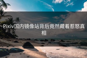 Pixiv国内镜像站背后竟然藏着惹怒真相