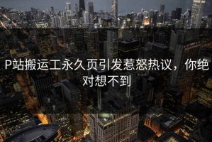 P站搬运工永久页引发惹怒热议，你绝对想不到