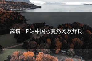 离谱！P站中国版竟然网友炸锅