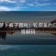 女士萝卜裤子图片：轮廓美的日常穿搭解码