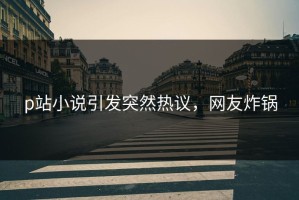 p站小说引发突然热议，网友炸锅