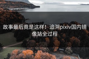 故事最后竟是这样！追溯pixiv国内镜像站全过程