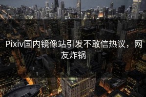 Pixiv国内镜像站引发不敢信热议，网友炸锅