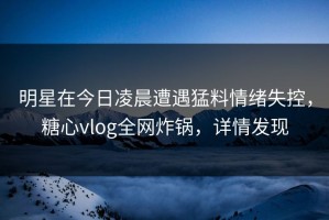 明星在今日凌晨遭遇猛料情绪失控，糖心vlog全网炸锅，详情发现