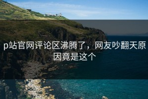 p站官网评论区沸腾了，网友吵翻天原因竟是这个