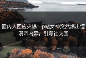 圈内人回应火爆：p站女神突然爆出懂漫帝内幕，引爆社交圈