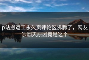 p站搬运工永久页评论区沸腾了，网友吵翻天原因竟是这个