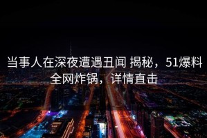 当事人在深夜遭遇丑闻 揭秘，51爆料全网炸锅，详情直击