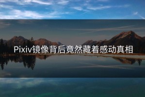 Pixiv镜像背后竟然藏着感动真相