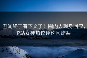 丑闻终于有下文了！圈内人现身回应，P站女神热议评论区炸裂