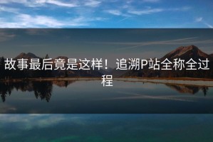 故事最后竟是这样！追溯P站全称全过程