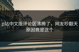 p站中文版评论区沸腾了，网友吵翻天原因竟是这个