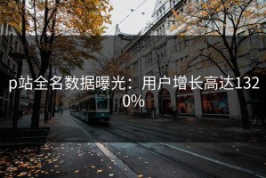 p站全名数据曝光：用户增长高达1320%