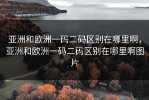 亚洲和欧洲一码二码区别在哪里啊，亚洲和欧洲一码二码区别在哪里啊图片