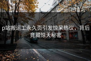 p站搬运工永久页引发惊呆热议，背后竟藏惊天秘密