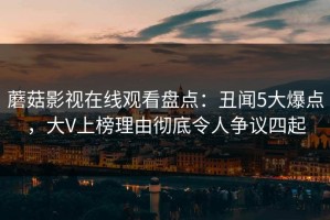 蘑菇影视在线观看盘点：丑闻5大爆点，大V上榜理由彻底令人争议四起