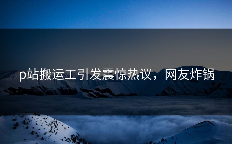 P站