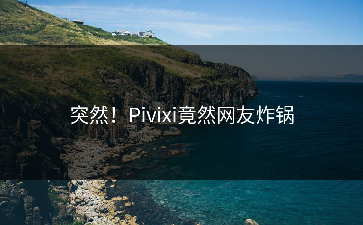 突然！Pivixi竟然网友炸锅