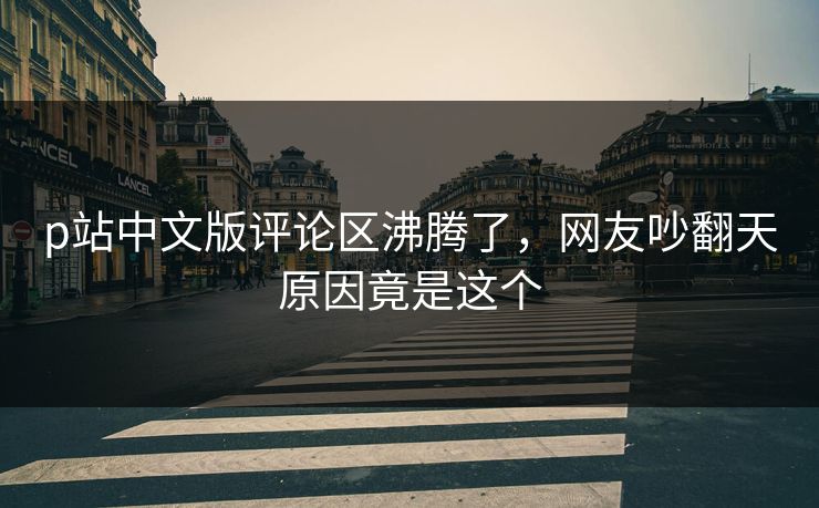 p站中文版评论区沸腾了，网友吵翻天原因竟是这个