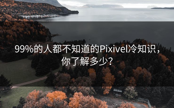 99%的人都不知道的Pixivel冷知识，你了解多少？
