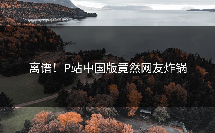 离谱！P站中国版竟然网友炸锅
