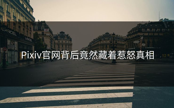Pixiv官网背后竟然藏着惹怒真相