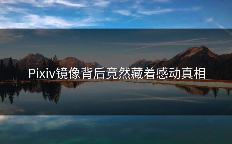 Pixiv镜像背后竟然藏着感动真相