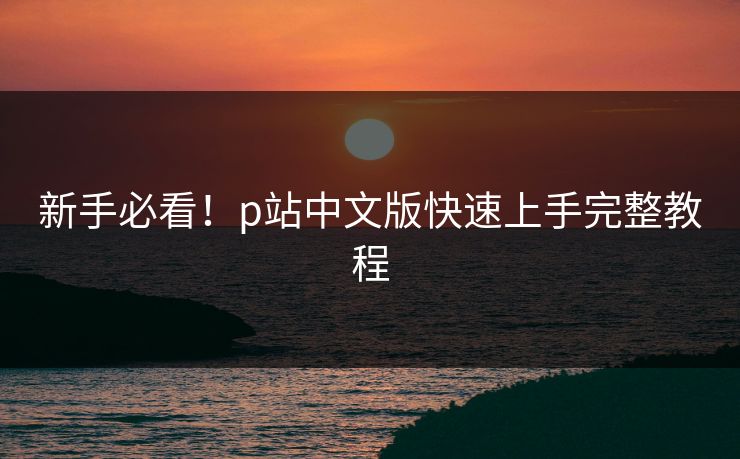 新手必看！p站中文版快速上手完整教程