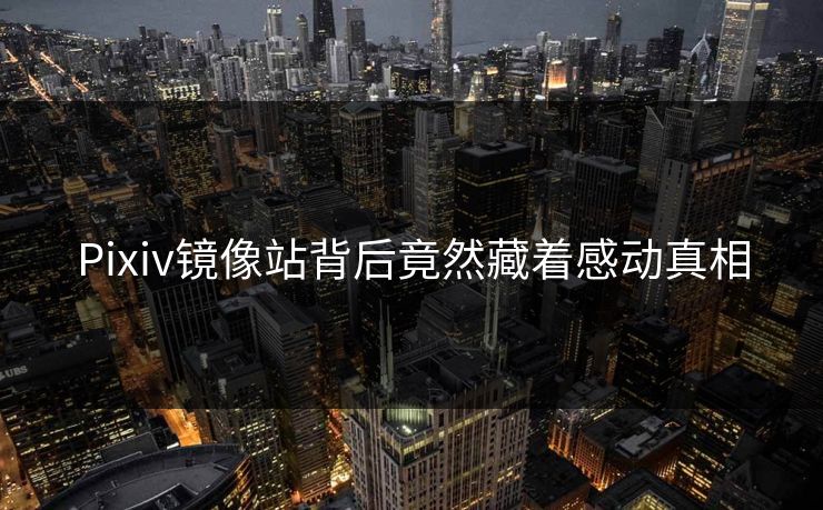 Pixiv镜像站背后竟然藏着感动真相