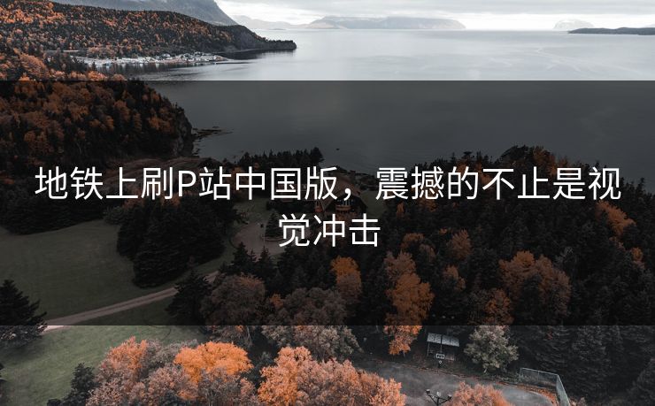 地铁上刷P站中国版，震撼的不止是视觉冲击